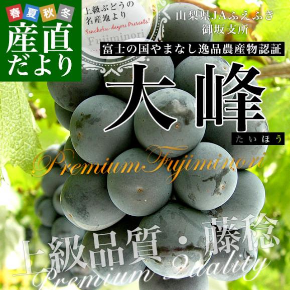 山梨県産　JAふえふき御坂支所　大峰（たいほう）約1.8キロ(3房入り)　黒葡萄　送料無料　クール便　ぶどう　ブドウ　葡萄　市場発送02