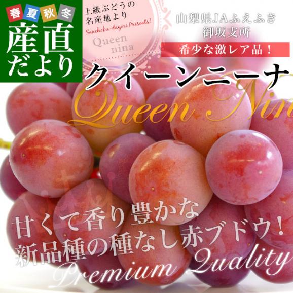 山梨県産 JAふえふき 御坂支所 クイーンニーナ 赤秀品以上 約1.5キロ（3房入り）送料無料　赤ぶどう 葡萄 種なしぶどう クール便 市場発送02