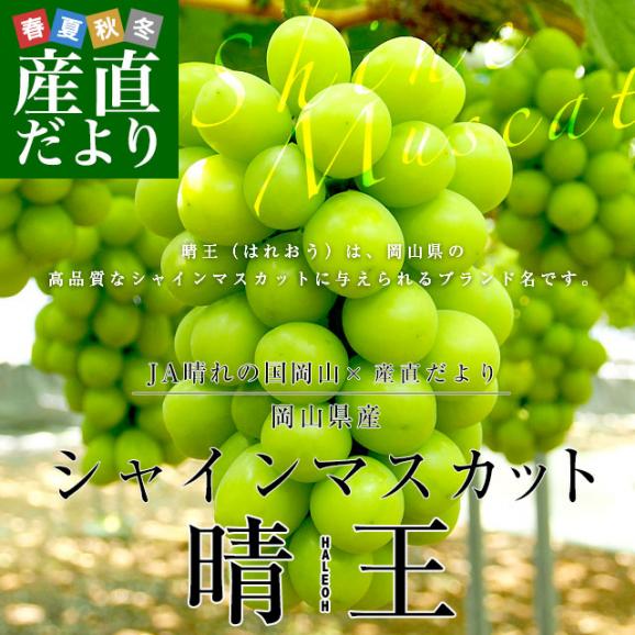 岡山県産 JA晴れの国岡山 シャインマスカット 晴王 青秀 約1.2キロ(600g×2房) 葡萄 ぶどう ブドウ 送料無料  クール便02