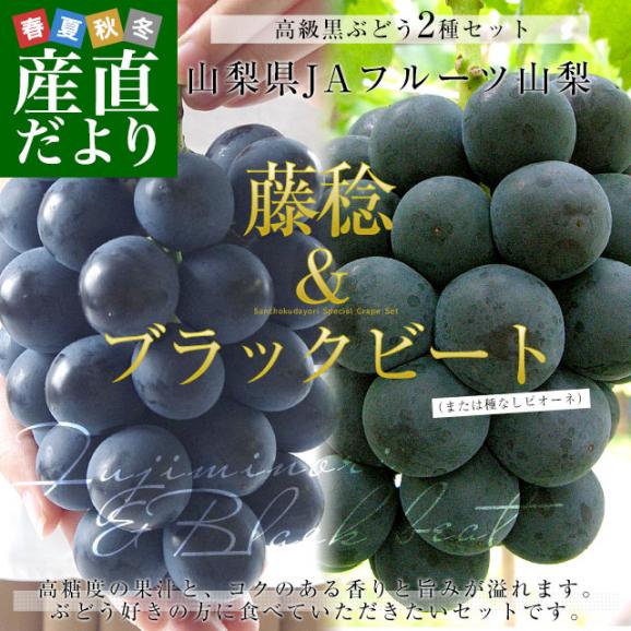 山梨県産 JAフルーツ山梨 藤稔(ふじみのり)＆ブラックビート（または種無しピオーネ） 各1房 合計約1キロ 送料無料 ぶどう 葡萄 黒ぶどう ぶどうセット02
