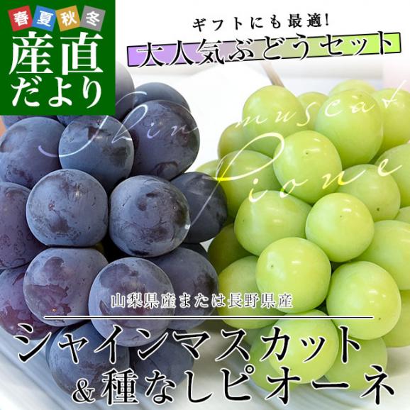 山梨県または長野県産シャインマスカット＆種なしピオーネ 各1房入り 合計900g以上 送料無料 ブドウ ぶどう 葡萄 クール便02