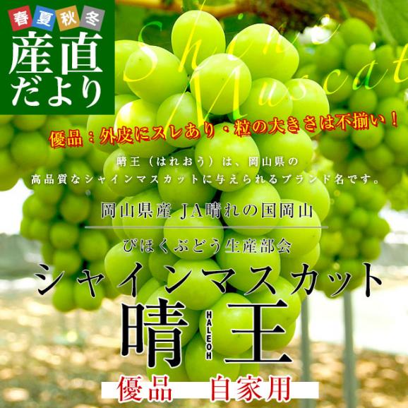 岡山県産　JA晴れの国岡山　びほくぶどう生産部会　シャインマスカット 晴王（はれおう）2キロ（3房から4房）優品　自家用　送料無料 ぶどう 種なし黒ぶどう02