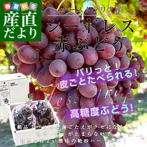 皮ごと食べられる！豊かな甘み！シードレス赤ぶどう オーストラリア産 約1.2キロ（約600g×2入）送料無料 種なしぶどう 輸入ぶどう 海外ぶどう02