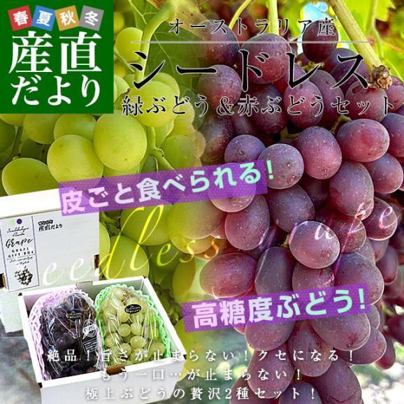 皮ごと食べられる！高糖度！シードレス緑ぶどう＆赤ぶどうセット オーストラリア産 約1.2キロ（約600g×2入）送料無料 種なしぶどう 輸入ぶどう 海外ぶどう02