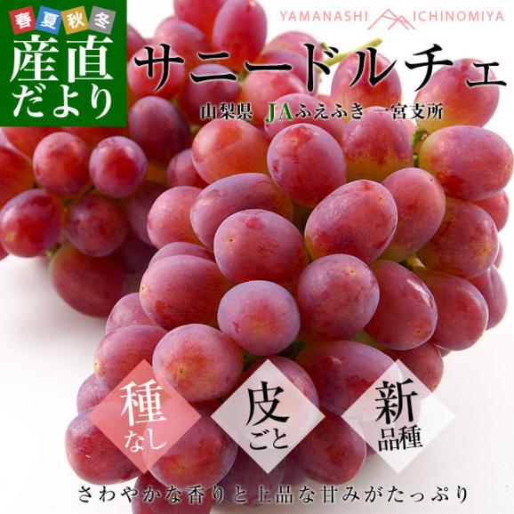 山梨県より産地直送 JAふえふき 一宮支所 サニードルチェ 約2キロ (3房から4房) 送料無料 ぶどう ブドウ 葡萄02