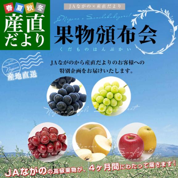 JAながの 産地直送　果物頒布会（ぶどう・梨・りんご　9月から12月まで4回お届け） 送料無料02