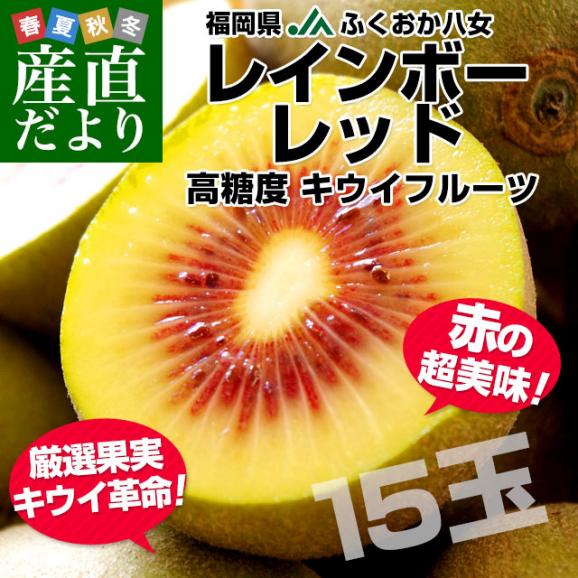 福岡県より産地直送 JAふくおか八女 レインボーレッドキウイ 約1.35キロ(15玉入) 送料無料 キウイフルーツ キウィ02