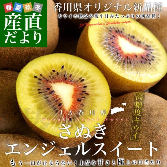 香川県より産地直送 JA香川県 キウイフルーツ さぬきエンジェルスイート 約1.2キロ (10から14玉) キウイフルーツ 送料無料02