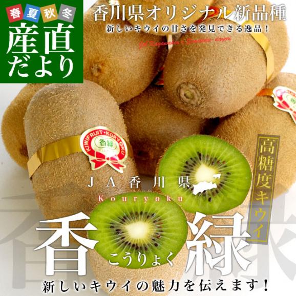送料無料 香川県より産地直送 JA香川県 キウイフルーツ 香緑(こうりょく) 　約1.4キロ化粧箱 　(7玉から9玉前後)　お歳暮　御歳暮02