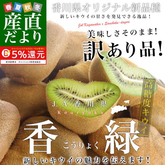 香川県より産地直送 JA香川県 キウイフルーツ 香緑(こうりょく) 　訳あり品　約3キロ　(15から30玉前後) 送料無料02