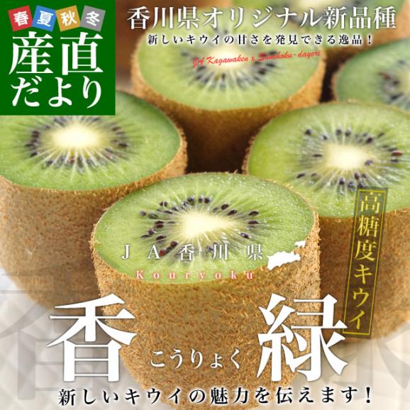 香川県より産地直送 JA香川県 キウイフルーツ 香緑(こうりょく) 　約3キロ　(20玉から35玉前後) 送料無料02