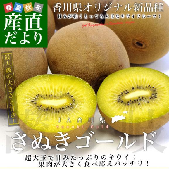 香川県より産地直送 JA香川県 キウイフルーツ さぬきゴールド ご家庭用 1キロ(4玉から8玉) 送料無料 キウィ02