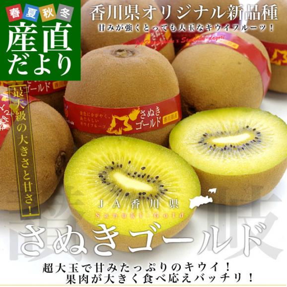 香川県より産地直送 JA香川県 キウイフルーツ さぬきゴールド 秀品 1.3キロ化粧箱（7玉から9玉）送料無料02