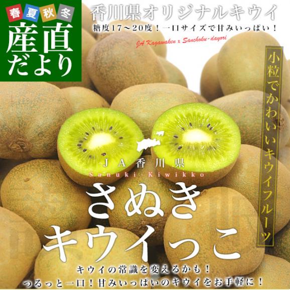 香川県より産地直送 JA香川県 高糖度キウイ さぬきキウイっこ 2キロ　(40玉から80玉前後) 送料無料　キウイフルーツ 讃岐キウイ きういっこ 国産キウイ02