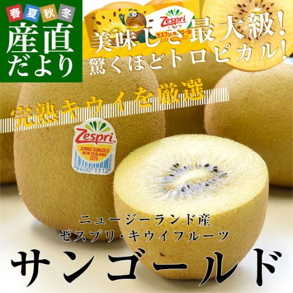 ニュージーランド産 ゼスプリキウイフルーツ サンゴールドキウイ 大玉 ３キロ (22玉入り) 送料無料02