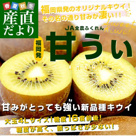福岡県から産地直送 JA全農ふくれん 福岡オリジナルキウイ 甘うぃ（あまうぃ）秀品 1.4キロ以上　化粧箱（４Lサイズ9玉から10玉入り）送料無料 キウイフルーツ02