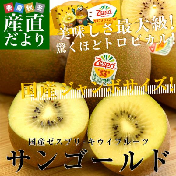 国産 ゼスプリ・キウイフルーツ サンゴールドキウイ ジャンボ 15玉入り化粧箱 (3キロ前後) 送料無料 市場発送02