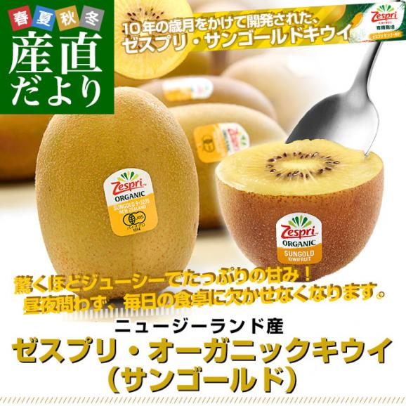 ニュージーランド産 ゼスプリ・オーガニックキウイ（サンゴールド） 3キロ 送料無料 クール便 キウイフルーツ ゴールドキウイ 完熟キウイ02