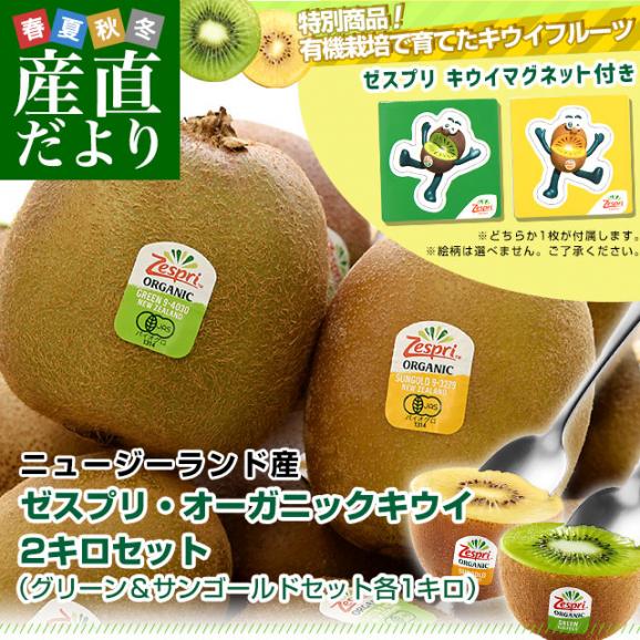 ニュージーランド産 ゼスプリ・オーガニックキウイ2キロセット（グリーン＆サンゴールドセット各1キロ）送料無料 クール便 キウイフルーツ ヘイワード 完熟キウイ オーガニック ※キウイマグネット付き02