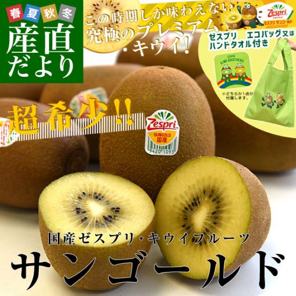 国産 ゼスプリ・サンゴールドキウイ 約3キロ ※ゼスプリ エコバッグ又はハンドタオル付き　送料無料　キウイフルーツ02