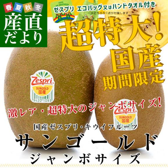 国産 ゼスプリ・サンゴールドキウイ「ジャンボサイズ」 約5キロ ※ゼスプリ エコバッグ又はハンドタオル付き　送料無料　キウイフルーツ02