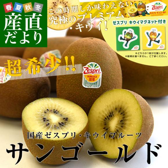 国産 ゼスプリ・サンゴールドキウイ約1.8キロ（合計14玉から20玉）※ゼスプリ キウイマグネット付き 送料無料　キウイフルーツ02