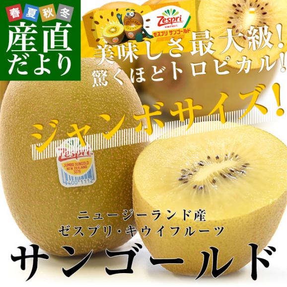 ニュージーランド産 ゼスプリ・サンゴールドキウイ「ジャンボサイズ」 約5キロ（26玉入り） 送料無料 キウイフルーツ02