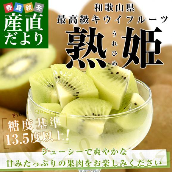 和歌山県産 JA紀の里 熟姫(うれひめ) 約1.8キロ(5玉から7玉入り×2袋) 送料無料 キウイフルーツ グリーンキウイ ヘイワード 市場発送02
