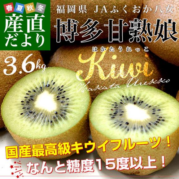 福岡県 JAふくおか八女 博多甘熟娘（はかたうれっこ）約3.6キロ(27玉から33玉) 送料無料 キウイ グリーンキウイ ヘイワード 市場発送02