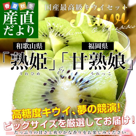 【キウイセット】和歌山県 JA紀の里「熟姫(うれひめ)」+福岡県 JAふくおか八女「博多甘熟娘(はかたうれっこ)」合計約1.8キロ（10玉から12玉）送料無料 市場発送 02