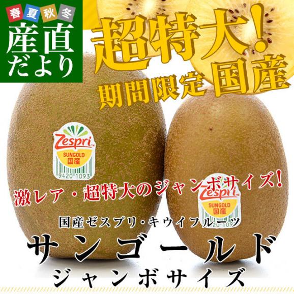 国産 ゼスプリ・サンゴールドキウイ「ジャンボサイズ」 約5キロ（26玉入り）　送料無料　キウイフルーツ02