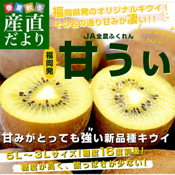 福岡県産JA全農ふくれん 福岡オリジナルキウイ 甘うぃ（あまうぃ）A品 1.3キロ以上　化粧箱（5Lから3Lサイズ9玉から10玉入り）送料無料 キウイフルーツ02