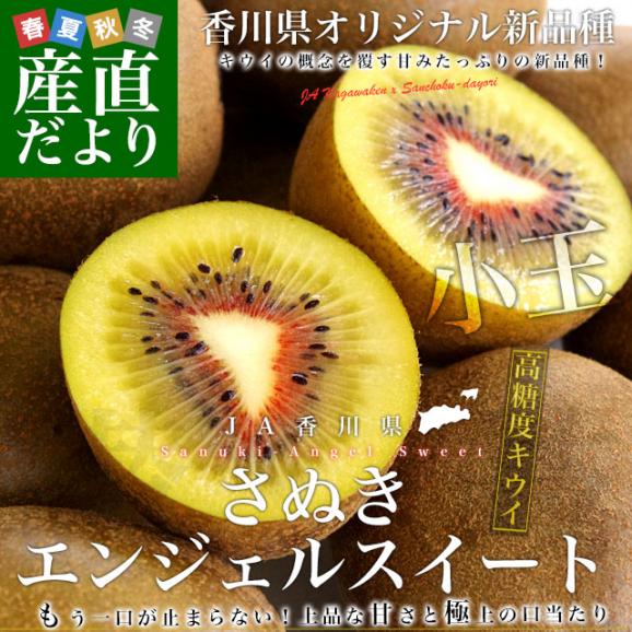 香川県より産地直送 JA香川県 キウイフルーツ さぬきエンジェルスイート小玉 約1.4キロ (28玉前後) キウイフルーツ 送料無料02