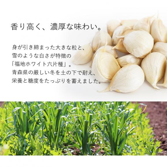 送料無料 青森県産 訳あり にんにく バラカケ 約500g 人気の福地ホワイト六片種02