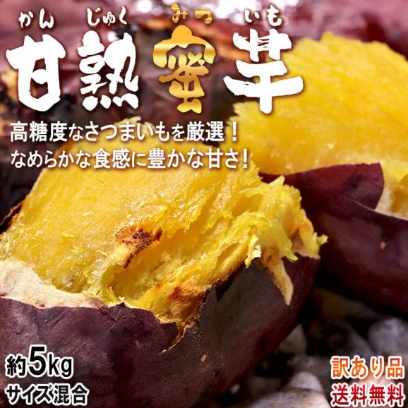 甘熟蜜いも 約5kg シルクスイート・紅はるか等 さつまいも サイズ混合 千葉県・茨城県産 訳あり品 大容量 溢れる甘さの蜜芋！旬の品種をお届け02