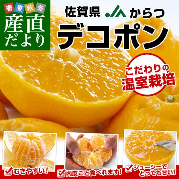 佐賀県産JAからつ デコポン 1.2キロ化粧箱（5玉から6玉入り） 送料無料 産直だより 唐津 でこぽん 柑橘 みかん オレンジ02