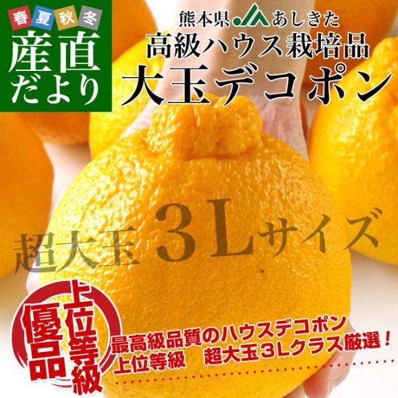 熊本県より産地直送 JAあしきた ハウス栽培 大玉デコポン （優品） 3キロ（7玉から8玉） 送料無料 でこぽん デコぽん 芦北 葦北02