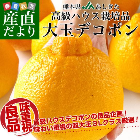 熊本県より産地直送 JAあしきた ハウス栽培 大玉デコポン （良品） 3キロ（7玉から8玉） 送料無料 でこぽん デコぽん 芦北 葦北02