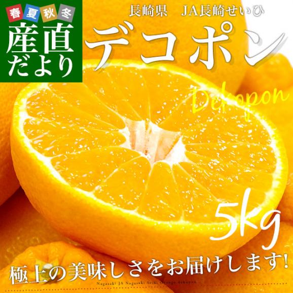 長崎県より産地直送 JA長崎せいひ デコポン 優品  4ＬからＬサイズ 5キロ (12玉から24玉) 送料無料 柑橘 かんきつ02