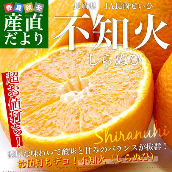 長崎県より産地直送 JA長崎せいひ 不知火 (しらぬひ) 優品 4ＬからＬサイズ 5キロ (15玉から24玉) 送料無料 柑橘 かんきつ02