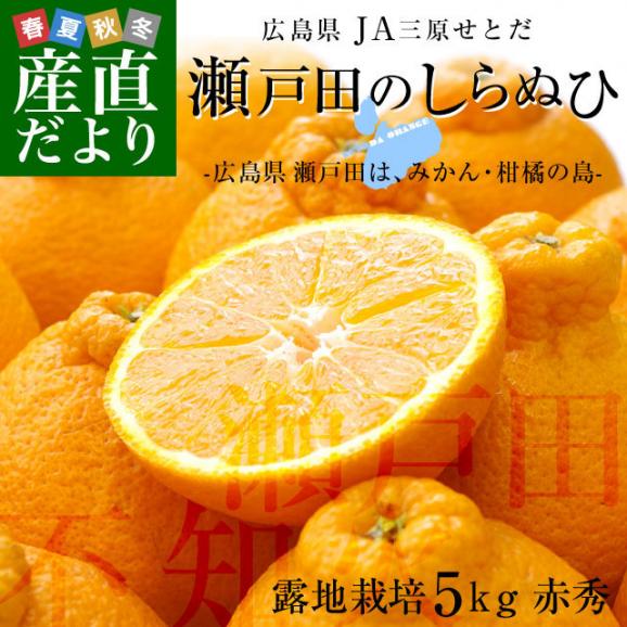 広島県産 JA三原せとだ「瀬戸田のしらぬひ」露地栽培 5キロ 赤秀 Lから２Lサイズ（20玉から24玉）　柑橘 かんきつ 不知火 しらぬい 市場スポット 送料無料02