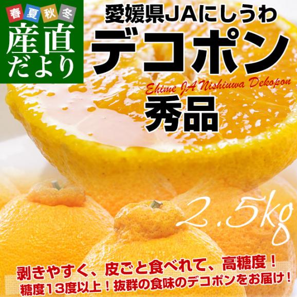 愛媛県 JAにしうわ デコポン 秀品  約2.5キロ 3LからLサイズ（9玉から12玉）でこぽん 柑橘 オレンジ 西宇和 八幡浜02