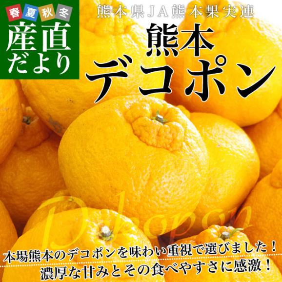 送料無料　熊本県産　JA熊本果実連　貯蔵デコポン　2LからL　5キロ（20玉から24玉） Pプラス鮮度保持袋入り　市場スポット02