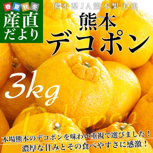 送料無料　熊本県産　JA熊本果実連　貯蔵デコポン　2LからL　3キロ（12玉から15玉） Pプラス鮮度保持袋入り　市場スポット02