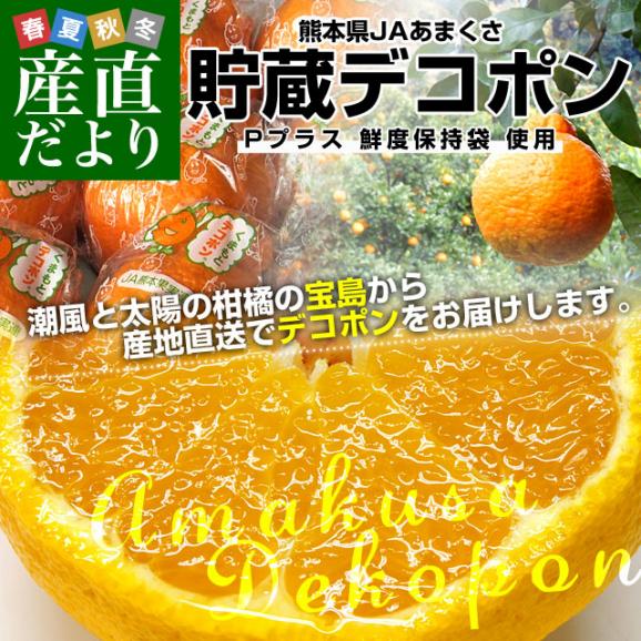 送料無料　熊本県から産地直送　JAあまくさ　貯蔵デコポン　2LからL　5キロ（20玉から24玉） Pプラス鮮度保持袋入り02