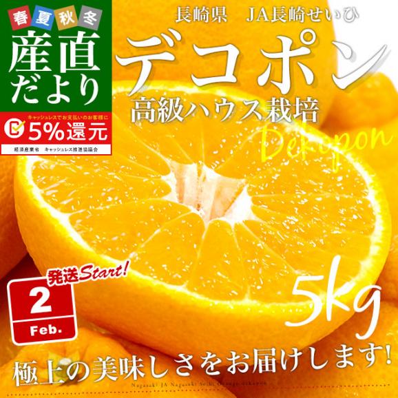 長崎県より産地直送 JA長崎せいひ ハウス栽培デコポン 優品  ５Ｌから２Ｌサイズ 5キロ (12玉から20玉) 送料無料  柑橘 かんきつ 2月発送商品02