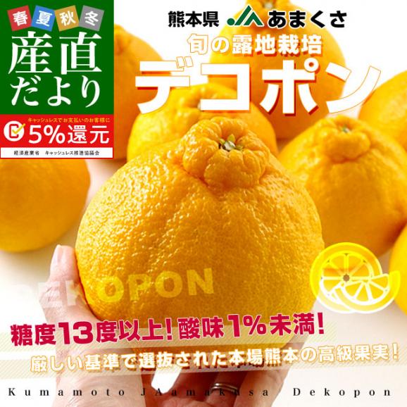 熊本県から産地直送 JAあまくさ デコポン 2LからLサイズ 5キロ(20玉から24玉前後)  でこぽん しらぬひ 不知火 天草 送料無料 3月以降発送品02