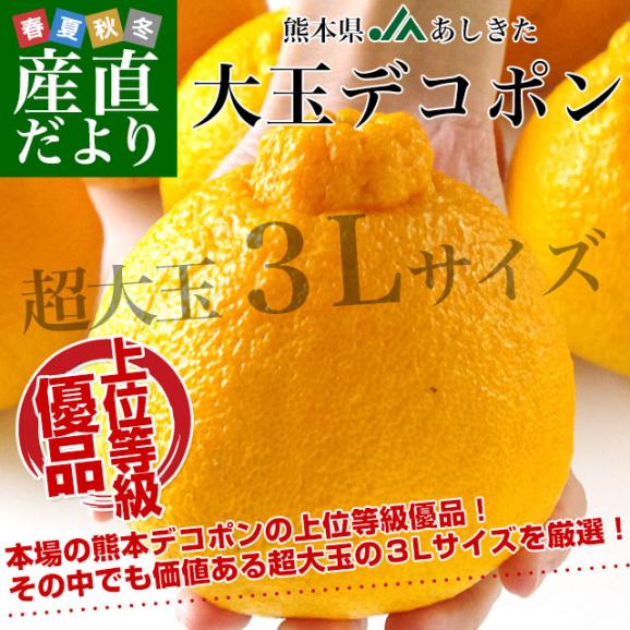 熊本県より産地直送 JAあしきた  大玉デコポン (優品)  3キロ (8玉から10玉) 送料無料 でこぽん デコぽん 芦北 葦北02