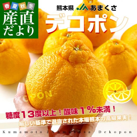 熊本県から産地直送 JAあまくさ デコポン 2L 5キロ (20玉) 送料無料 でこぽん しらぬひ 不知火 天草02