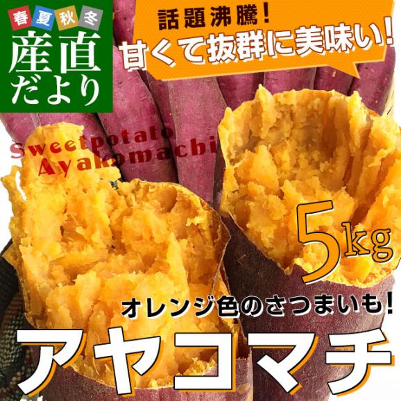 千葉県産　JAかとり　アヤコマチ　Mサイズ5キロ　20本前後　送料無料　さつまいも　サツマイモ　薩摩芋　にんじん芋　オレンジ芋　野菜　市場発送02